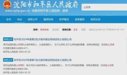 沈阳最新爆料消息